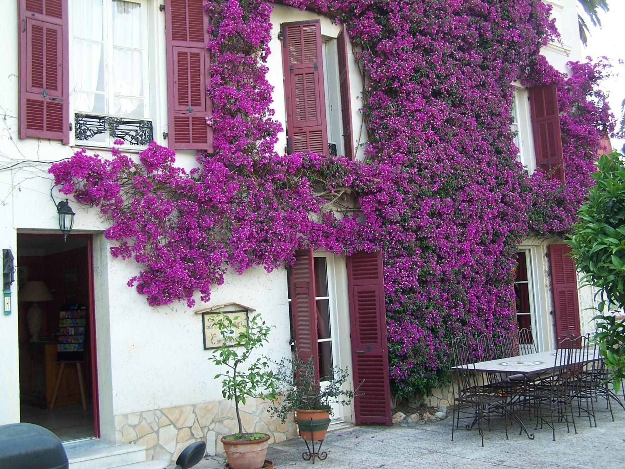 Castel Enchanté